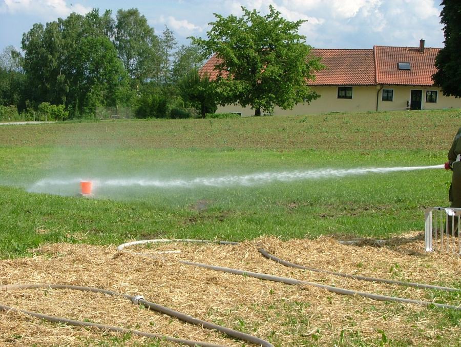 2010-05-29_leistungspruefung_mit_ff_adlwang0133.jpg